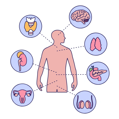 Anatomy Scientific Sessions