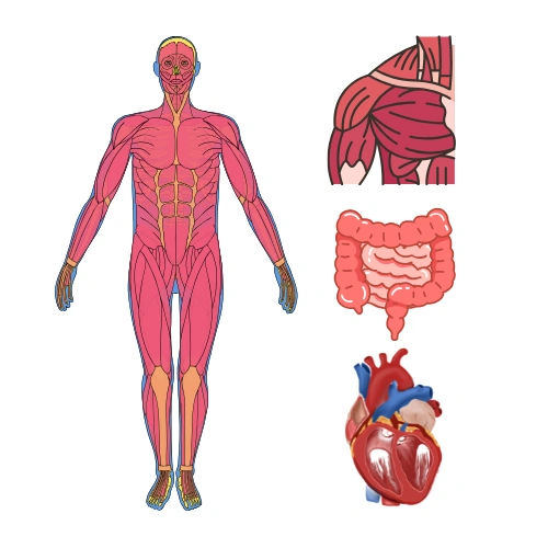 Anatomy Scientific Sessions