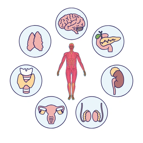 Anatomy Scientific Sessions