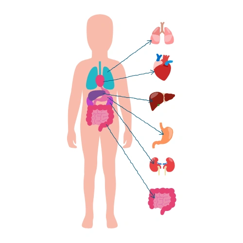 Anatomy Scientific Sessions