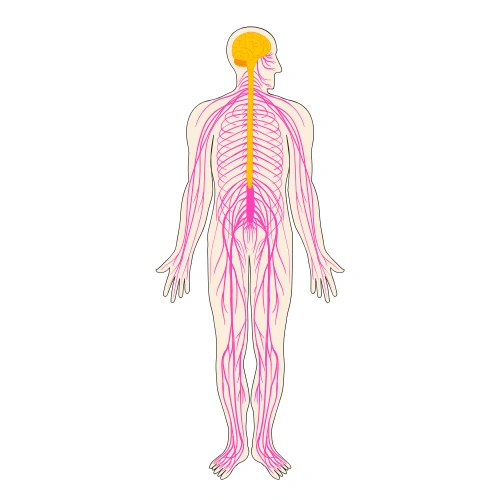 Anatomy Scientific Sessions