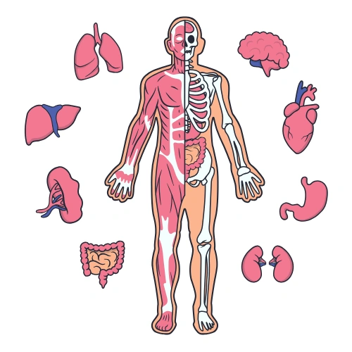 Anatomy Scientific Sessions